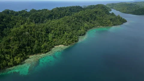 Breathtaking Pristine Island Beach and Coral Reef Indonesia Aerial Stock-Footage 337726314