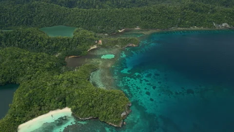Breathtaking Pristine Island Beach and Coral Reef Indonesia Aerial 動画素材 337727913