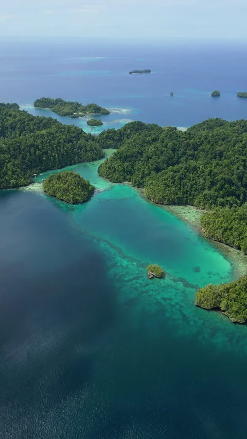 Breathtaking Pristine Island Coastline and Turquoise Reef Aerial Stock Footage 338202932