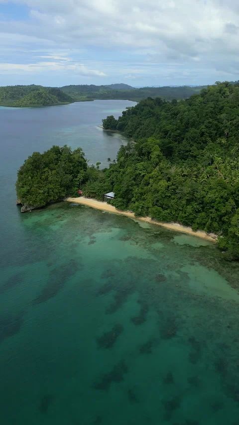 Breathtaking Pristine Island Coastline and Turquoise Reef Aerial 库存影片 338204045