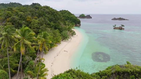 Breathtaking Remote Beach and Isolated Coastline Misool Aerial View 库存影片 337958494