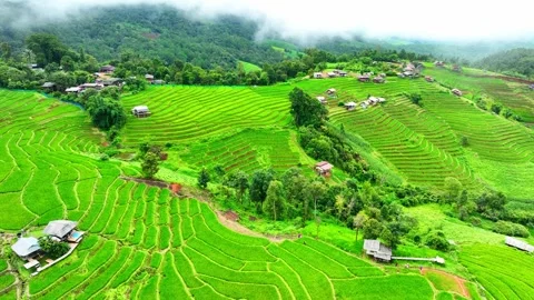 Breathtaking rice terraces. Stock Footage 250147941