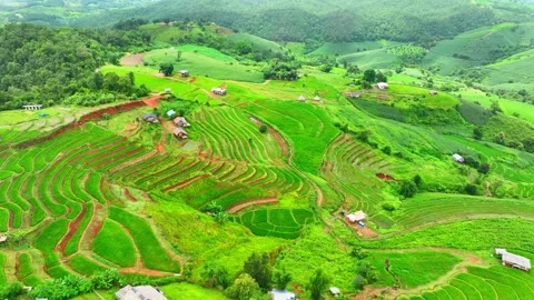 Breathtaking rice terraces. Video stock 250148019