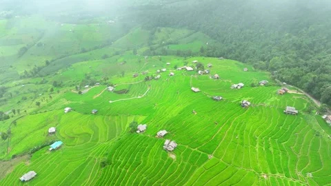 Breathtaking rice terraces. Video stock 250148393