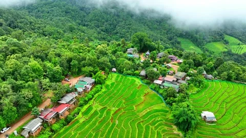 Breathtaking rice terraces. Stock Footage 250148544