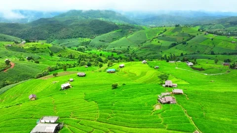 Breathtaking rice terraces. Video stock 250149712
