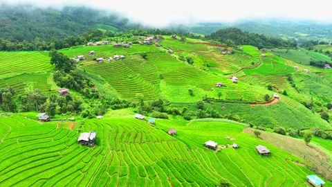Breathtaking rice terraces. Stock Footage 250150058