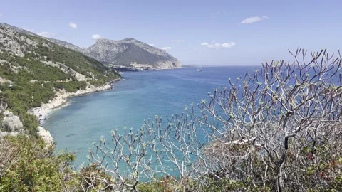 Breathtaking Scenic Coastal View Featuring Lush Greenery and Clear Blue Waters Stock Footage 285161090