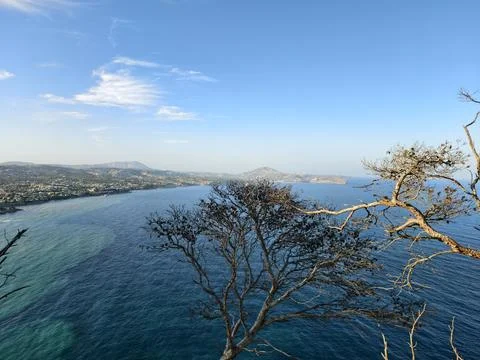 Breathtaking seaside view with lone tree, vast coastal outlook featuring Stock Photos