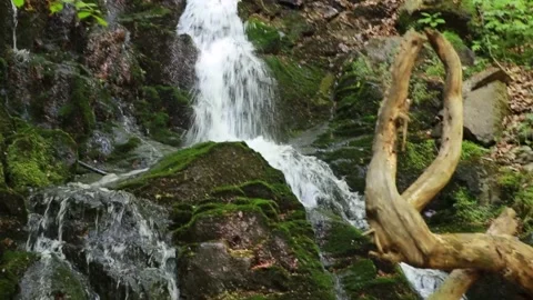 Breathtaking Serene Cascading Waterfalls Within a Lush and Vibrant Forest Stock Footage 315974340