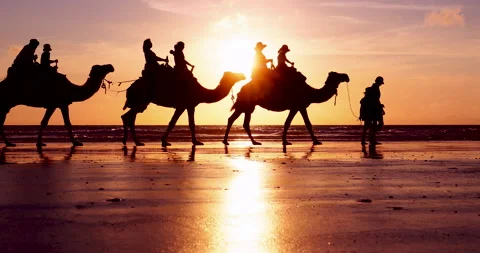 Breathtaking Silhouettes of Camels on Cable Beach in Broome, Australia Video stock 171501442