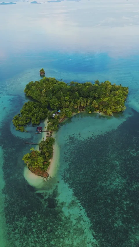 Breathtaking Small Beach and Local Island Settlement Misool Aerial 動画素材 336984979