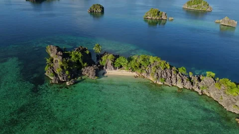 Breathtaking Small Sand Beach and Turquoise Lagoon Misool Aerial 스톡 동영상 337795516