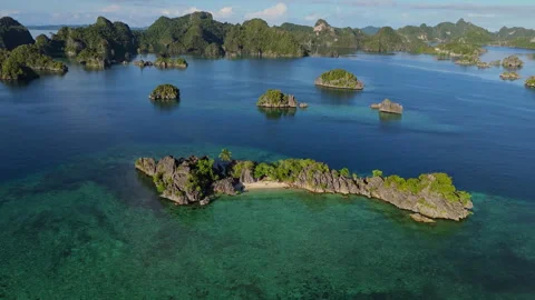 Breathtaking Small Sand Beach and Turquoise Lagoon Misool Aerial 스톡 동영상 337795751