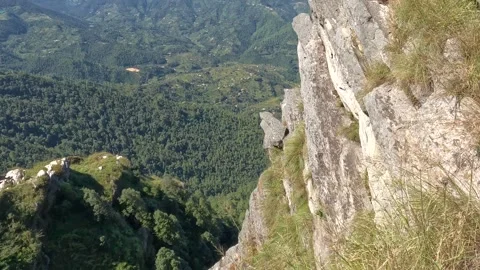 Breathtaking Steep Cliff Edge View From Chauli Ki Jali Overlooking Dense Fo.. Stock Footage 338225478