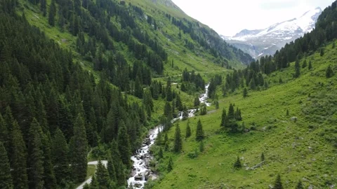 Breathtaking Summer Drone Footage of a Lush Alpine Valley and Winding River Stock Footage 317626164