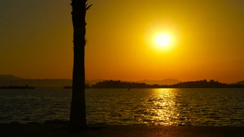 Breathtaking sunset behind rolling hills with silhouetted palm tree Stock Footage 300875867