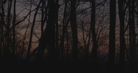 Breathtaking Sunset Stock Footage 169428525