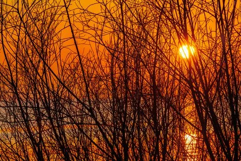 A breathtaking sunset over the ocean, casting golden hues across the sky Stock Photos