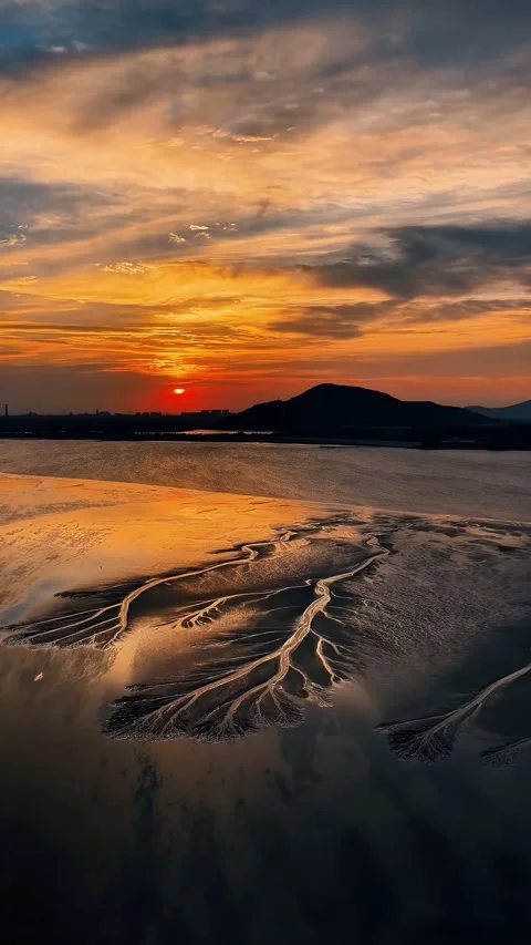 Breathtaking Sunset Over Qiantang River Tidal Tree Formations China Stockbeeldmateriaal 342602775