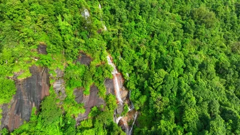 Breathtaking tropical forest waterfall. Stock Footage 250145033