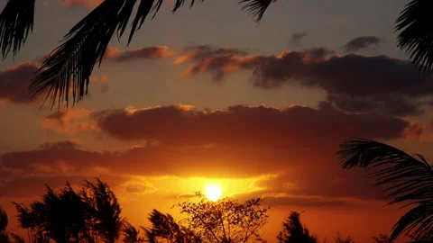 A breathtaking tropical sunset framed by swaying coconut palm leaves. Stock Footage 341422293