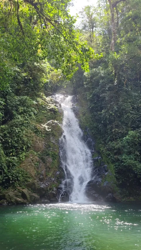 Breathtaking tropical waterfall cascading into a crystal clear emerald pool Stock Footage 345100876