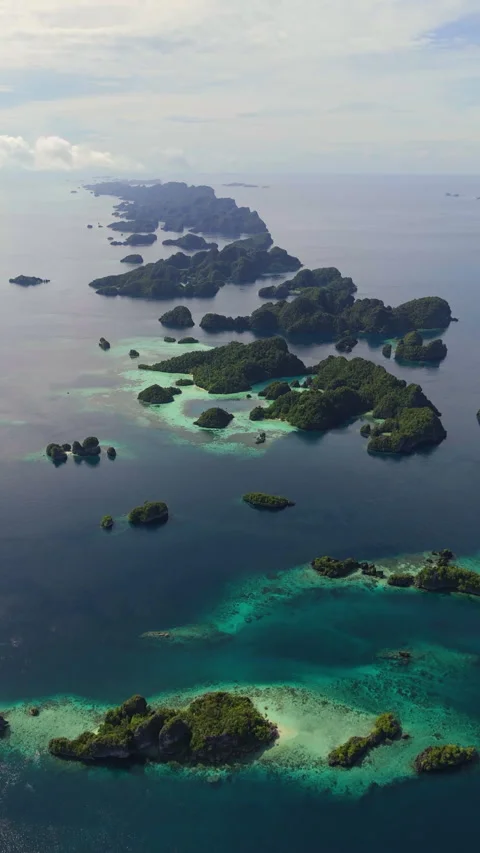 Breathtaking Turquoise Ocean and Coastal Cliffs Misool Aerial 動画素材 336502425