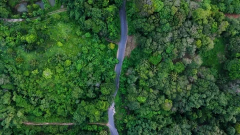 A breathtaking vertical drone flight behind a scooter over a road with Vidéo 255236632