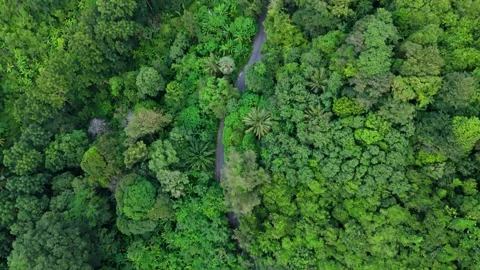 A Breathtaking Vertical Drone Flight Over a Deserted Road in the Vidéo 255236622