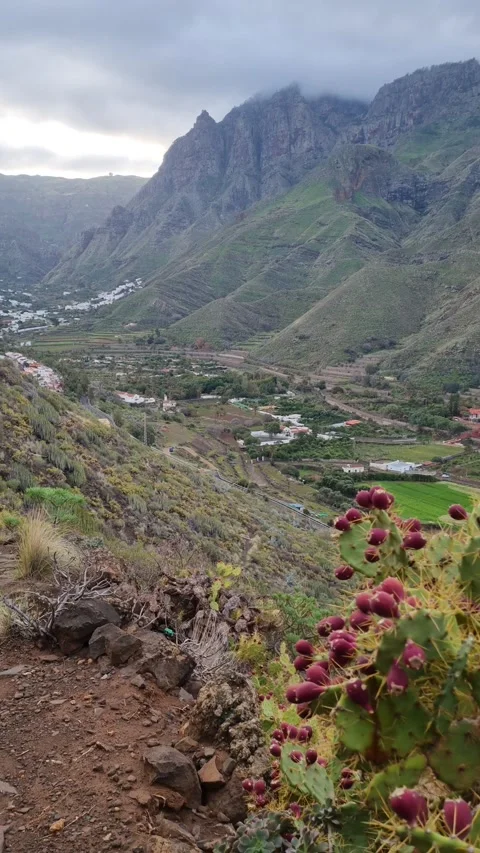 A breathtaking view from the Agate and Lomo de San Pedro area in Tenerife Stock Footage 307630407