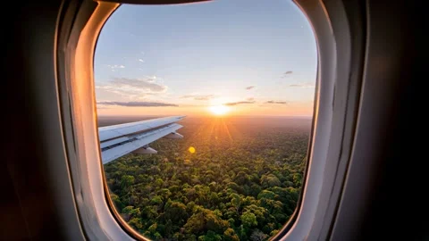 A breathtaking view from an airplane window showing dense forest below Video stock 315554808