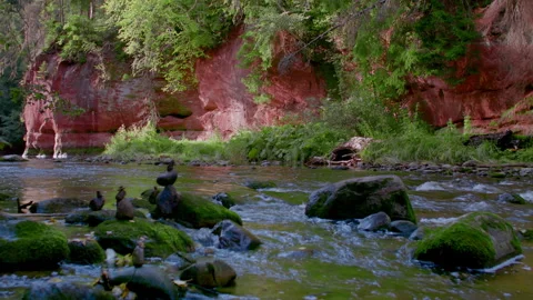 Breathtaking view of AMATA river with transparent water in Latvia, Stock Footage 250799428