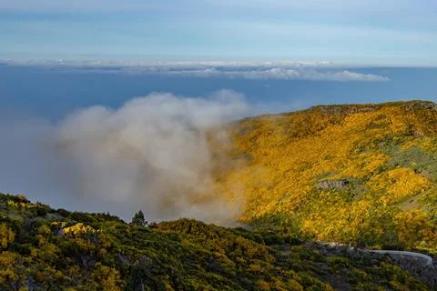 Breathtaking view of the cloudy mountains on the trail to Pico Ruivo in Madei 스톡 사진