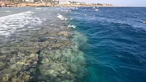 A Breathtaking View of Coral Reefs Under Clear Waters, Highlighting the Stock Footage 330102605
