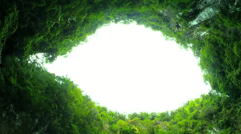 Breathtaking view from inside mountain cave overgrown with forest. Nature wonder Stock Footage 60605596