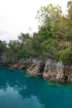 A breathtaking view of limestone rock formations covered in lush vegetation Stock Photos