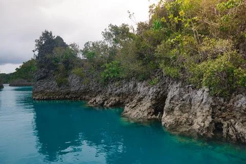 A breathtaking view of limestone rock formations covered in lush vegetation Stock Photos