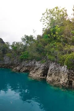 A breathtaking view of limestone rock formations covered in lush vegetation Stock Photos