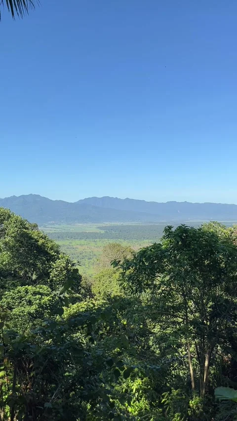 Breathtaking View of Lush Valley with Mountain Range Stock Footage 335176729