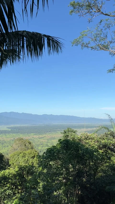 Breathtaking View of Lush Valley with Mountain Range Stock Footage 335176754