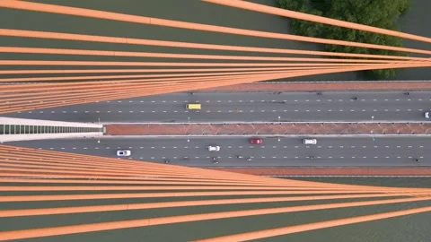 Breathtaking view of a modern bridge in Danang with vibrant cables Video stock 309741377