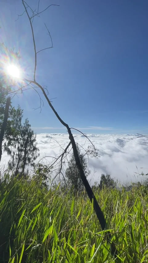 Breathtaking view from a mountaintop above the clouds. Stock-Footage 332259360