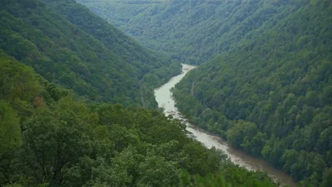 Breathtaking view of New River winding through a dense green valley in West Stock Footage 293121790