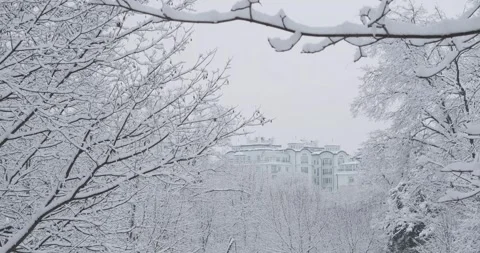 A breathtaking view of snow-covered trees, with a beautiful white architectural Видео 253285216