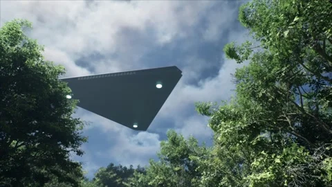 Breathtaking view up through the canopy in a forest as a huge black triangle Vídeos de archivo 311086201