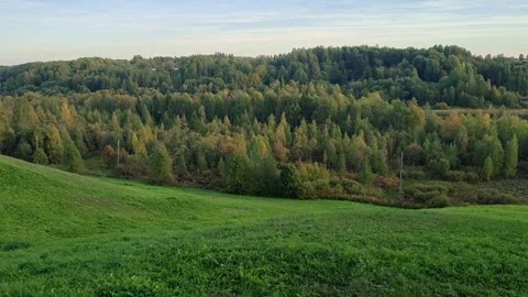 Breathtaking view of verdant hillside transition into dense forest. Scene bathed Video stock 318303080