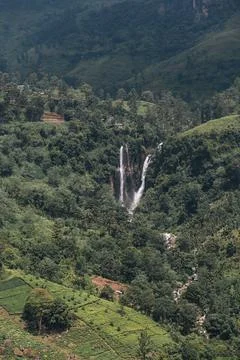 Breathtaking view of a waterfall flowing through a vibrant green Stock Photos