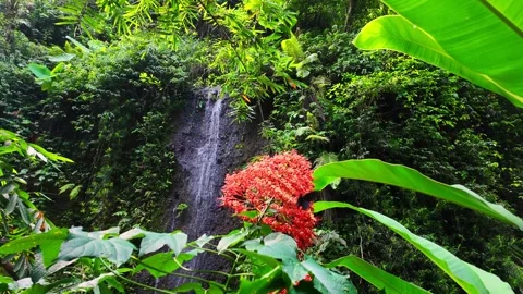 Breathtaking view of waterfall showcases nature wonders, inviting visitors .. Stock Footage 330986622
