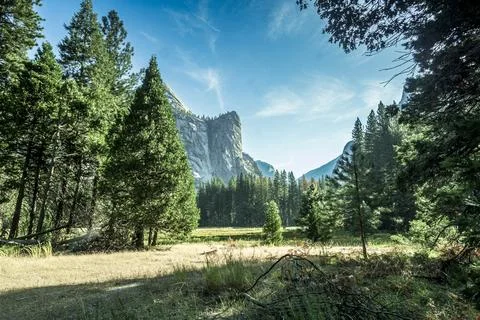 A breathtaking view of Yosemite Stock Photos